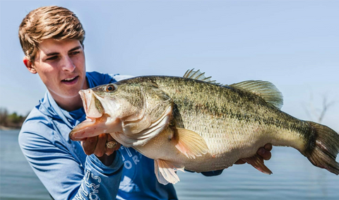 Tyler Anderson